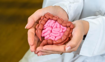 Gut Health