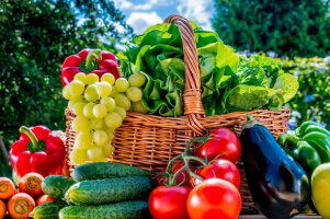 Nourish Body